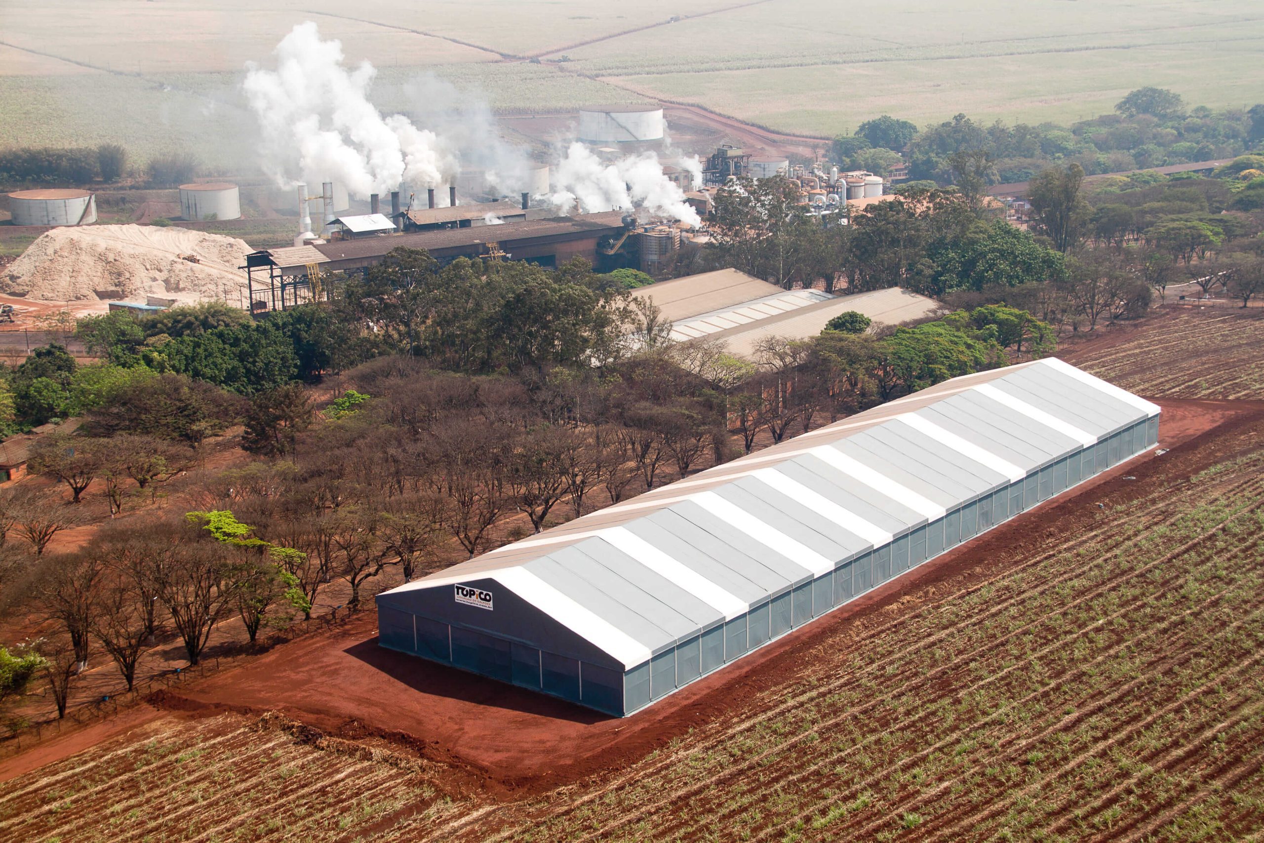 CHEGOU O PERÍODO DE SAFRA DO CAFÉ, COMO SE PLANEJAR? - Agronegócio