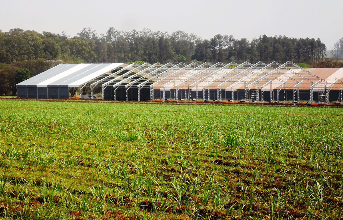 Mesmo diante de projeções otimistas, segmento de fertilizante se mantém cauteloso